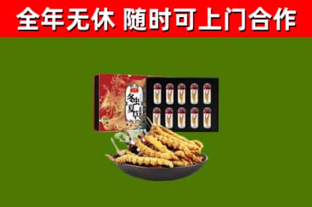 喀什回收冬虫夏草价格